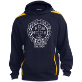 NFD&MA YST265 Sport-Tek Youth Sleeve Stripe Hooded Pullover