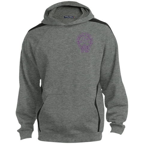NFD&MA ST265 Sport-Tek Sleeve Stripe Sweatshirt with Jersey Lined Hood