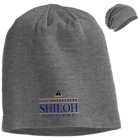 Shiloh Baptist Church DT618 District Slouch Beanie