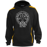 NFD&MA YST265 Sport-Tek Youth Sleeve Stripe Hooded Pullover